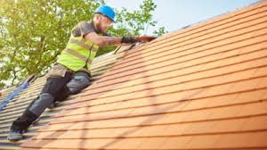 Professional Roofing Service  in Clearwater, FL