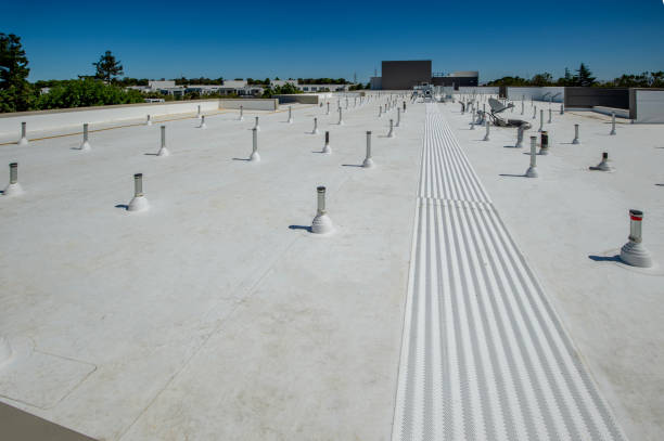 Best Emergency Roof Repair Services  in Clearwater, FL